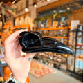 Ravenstone Crystals Obsidian Raven Skull