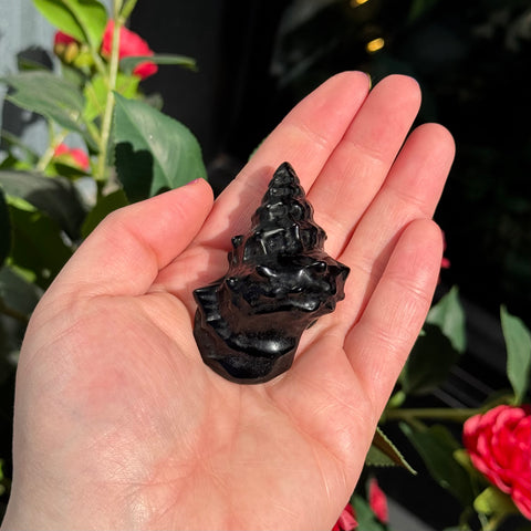 Ravenstone Crystals Obsidian Seashell