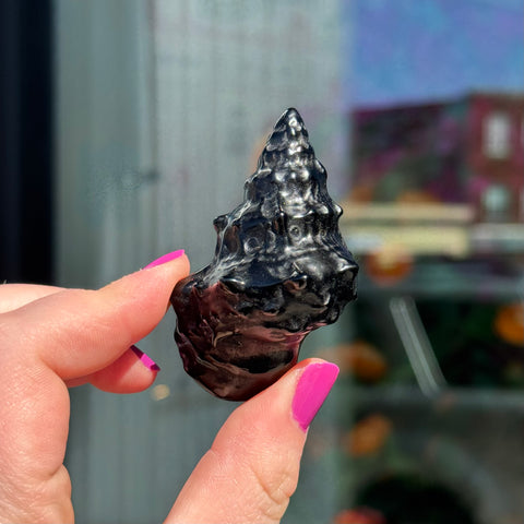 Ravenstone Crystals Obsidian Seashell