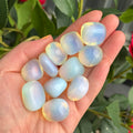 Ravenstone Crystals Opalite Tumble