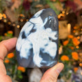 Ravenstone Crystals Orca Agate "Casey"