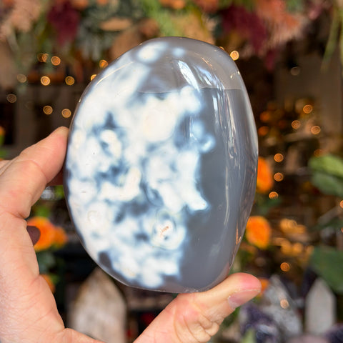 Ravenstone Crystals Orca Agate "Mark"