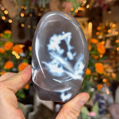 Ravenstone Crystals Orca Agate "Melvin"