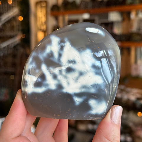 Ravenstone Crystals Orca Agate "Phil"