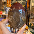 Ravenstone Crystals Petrified Wood "Arthur"