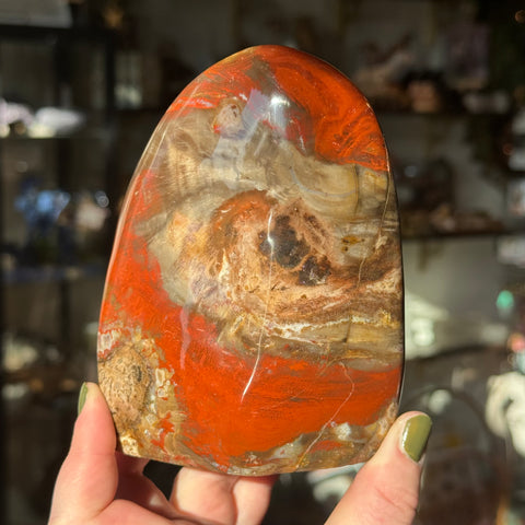 Ravenstone Crystals Petrified Wood "Diana"
