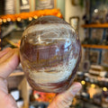 Ravenstone Crystals Petrified Wood "Jonah"