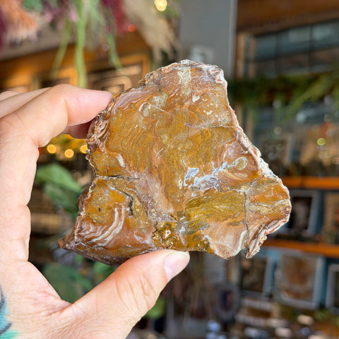 Ravenstone Crystals Petrified Wood "Kristen"