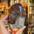 Ravenstone Crystals Petrified Wood "Miles"