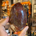 Ravenstone Crystals Petrified Wood "Quentin"