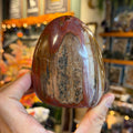 Ravenstone Crystals Petrified Wood "Soren"