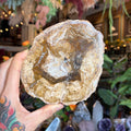 Ravenstone Crystals Petrified Wood "Steven"