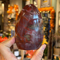 Ravenstone Crystals Petrified Wood "Wren"