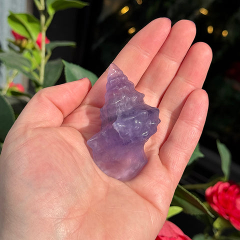 Ravenstone Crystals Purple Fluorite Seashell