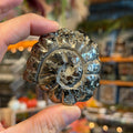 Ravenstone Crystals Pyrite Ammonite "Hestia"