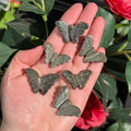 Ravenstone Crystals Pyrite Butterfly