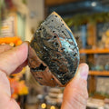 Ravenstone Crystals Pyrite "Kevin"