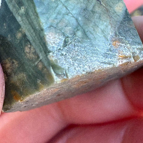 Ravenstone Crystals Rainforest Jasper "Olivia"