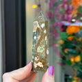Ravenstone Crystals Rainforest Jasper "Pritha"