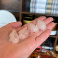 Ravenstone Crystals Rose Quartz Axolotl