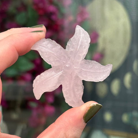 Ravenstone Crystals Rose Quartz Starfish "Caitlyn"