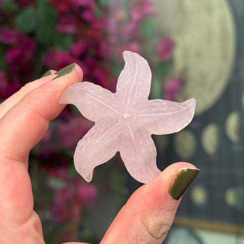 Ravenstone Crystals Rose Quartz Starfish "Gianna"