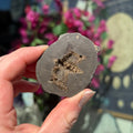 Ravenstone Crystals Septarian | Barite "Lori"