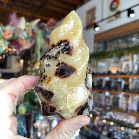 Ravenstone Crystals Septarian Stone "Abby"