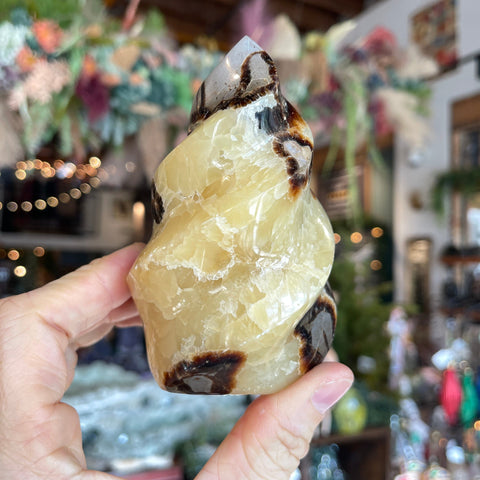 Ravenstone Crystals Septarian Stone "Anita"