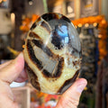 Ravenstone Crystals Septarian Stone "Clara"