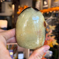 Ravenstone Crystals Septarian Stone "Delilah"