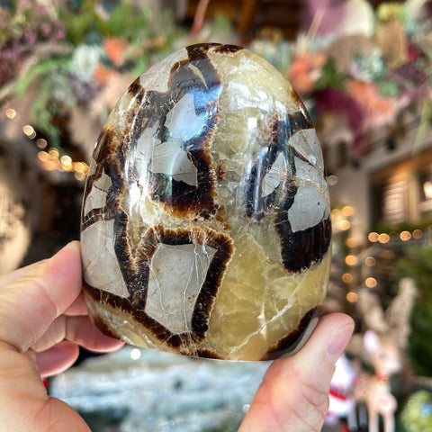 Ravenstone Crystals Septarian Stone "Elizabeth"