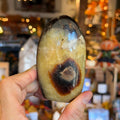 Ravenstone Crystals Septarian Stone "Georgina"