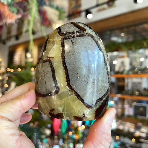 Ravenstone Crystals Septarian Stone "Haley"