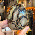 Ravenstone Crystals Septarian Stone "Julian"