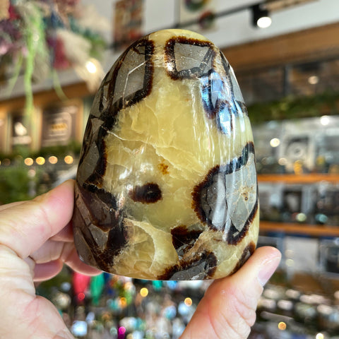 Ravenstone Crystals Septarian Stone "Kyle"