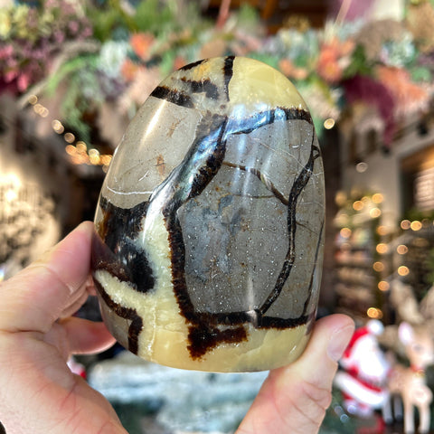 Ravenstone Crystals Septarian Stone "Lee"