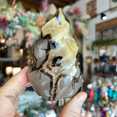 Ravenstone Crystals Septarian Stone "Michael"