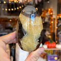 Ravenstone Crystals Septarian Stone "Nolan"