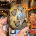 Ravenstone Crystals Septarian Stone "Pauline"