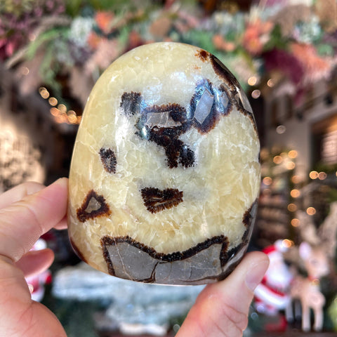 Ravenstone Crystals Septarian Stone "Rashid"