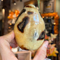 Ravenstone Crystals Septarian Stone "Theo"
