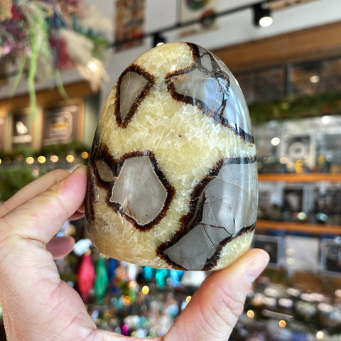 Ravenstone Crystals Septarian Stone "Wilma"