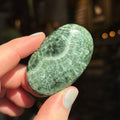 Ravenstone Crystals Seraphinite "Andrew"