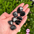 Ravenstone Crystals Shungite Tumble