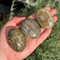 Ravenstone Crystals Size 1 Ocean Jasper Palm Stone
