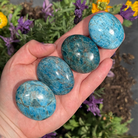 Ravenstone Crystals Size 2 Blue Apatite Palm Stone