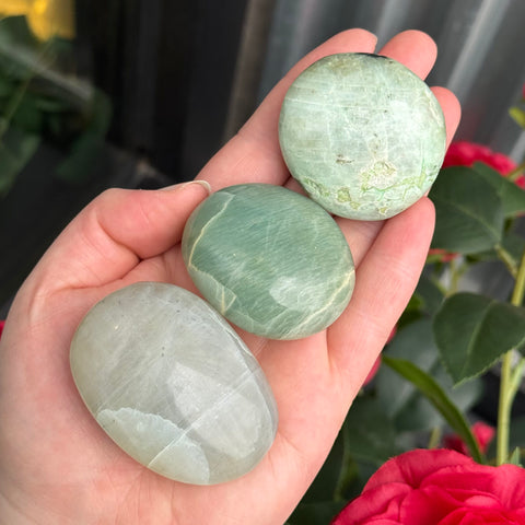 Ravenstone Crystals Size 2 Green Moonstone Palm Stone