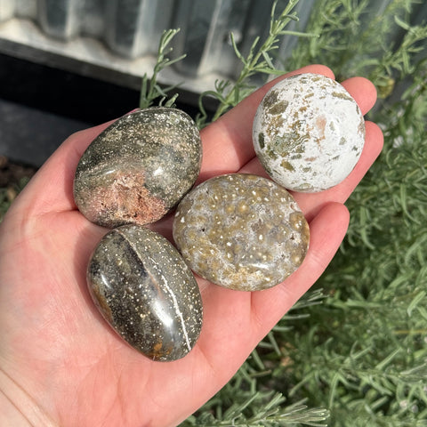 Ravenstone Crystals Size 2 Ocean Jasper Palm Stone
