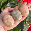 Ravenstone Crystals Size 2 Pink Moonstone Palm Stone